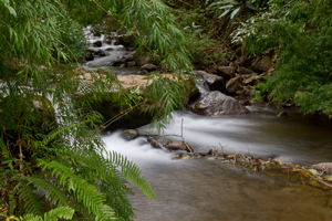river